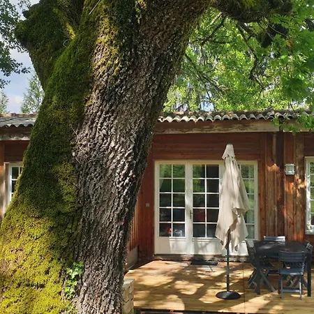 Chalet En Bois